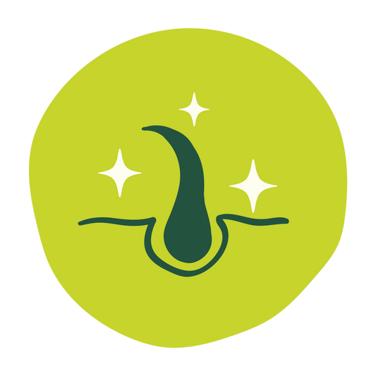  Enhances Scalp Health image 