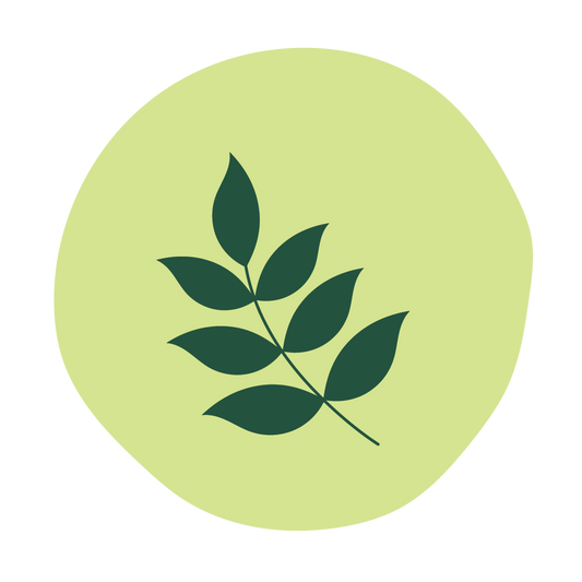  Neem 