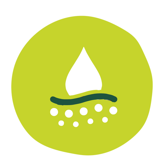  Regenerative & Moisturizing image 